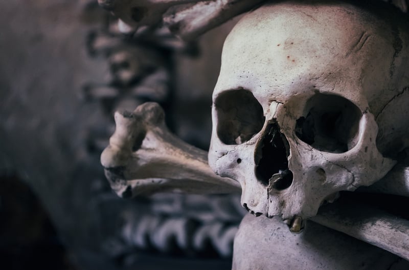 Crystal Skulls